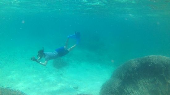 早速素潜りドボンです