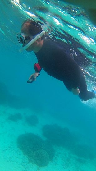 がんがん泳ぎ回っています