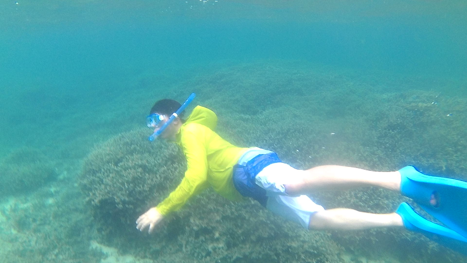 H間さんも潜ってみています