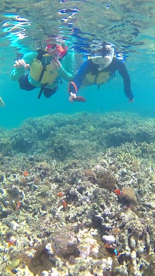 クマノミマンションとK端さんとO野さんです。