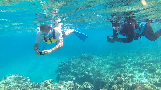 T屋さんご夫婦はカメラを二刀流です