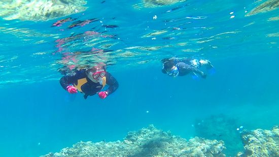 ナマコ大好きK川さんご夫婦です