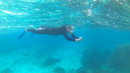 撮って撮って撮りまくっています