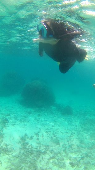 奥さん、また一段とレベルアップしましたね