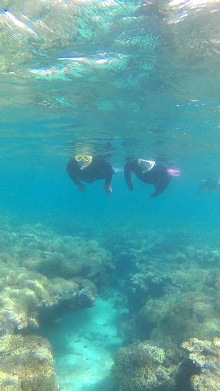 ラストシュノーケルを楽しんでいらっしゃいます。