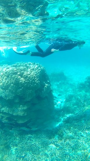 黙々と泳いでいるH原さんです