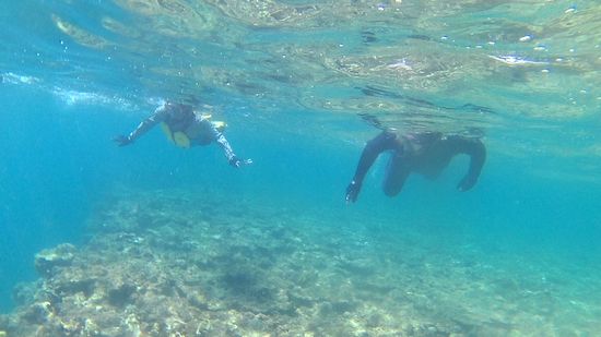 K藤さん、うねりなんてお構いなしの泳ぎです。