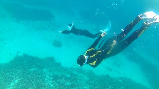 二人そろって、素潜りドボンです