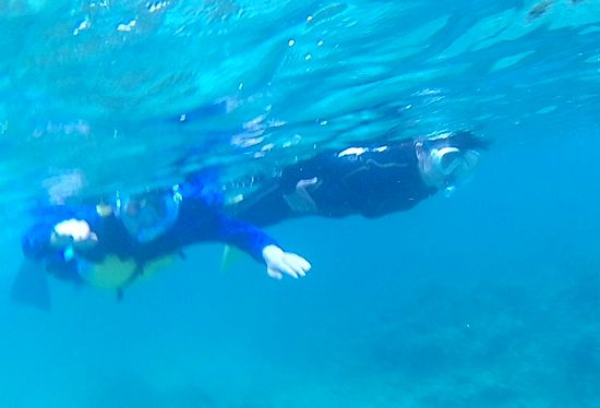 お父さん、お母さんは余裕の泳ぎです