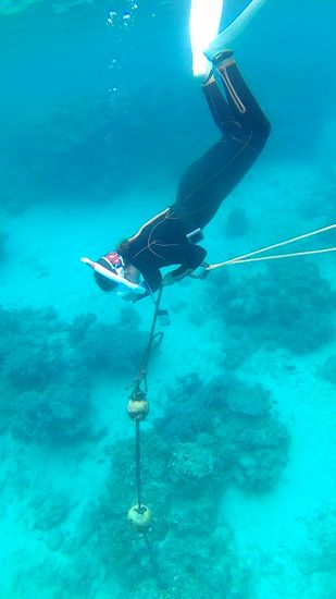 素潜り練習をしているU野さん