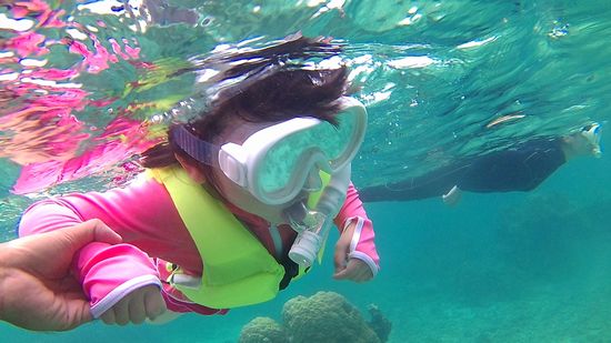 ハルかちゃん、マスクデビュー成功です