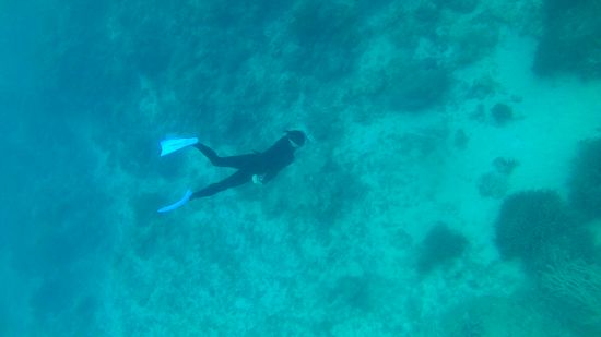 深くまで潜っています