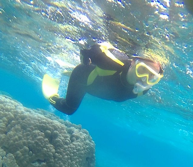 リピーターT田さんです