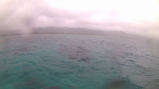 小雨が一日中ふっています。