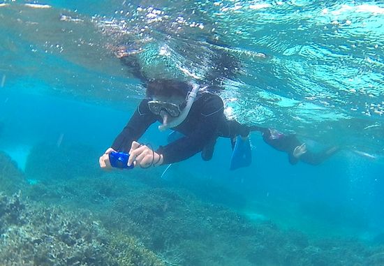 お父さんは水中カメラを楽しんでいます