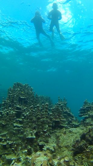 神社仏閣の雰囲気です