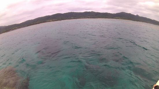 曇りの天気となりました