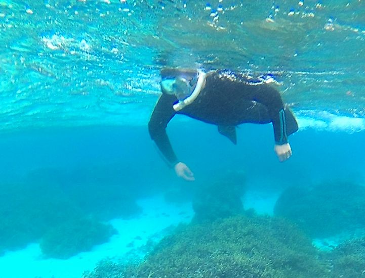 お父さんは慣れた泳ぎです