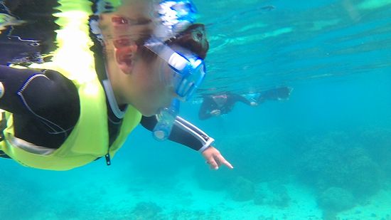 クラノスケ君、慣れれば大丈夫です