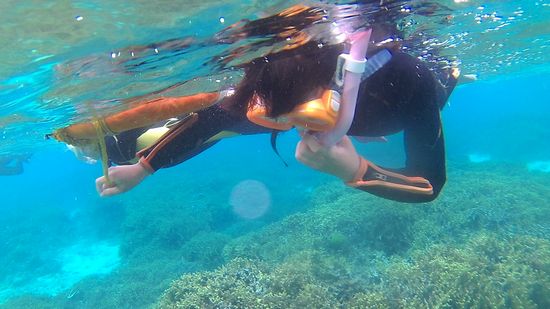 サキちゃん、まだ不安があるようですね。。。