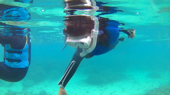 シオンちゃんもクマノミにびっくり