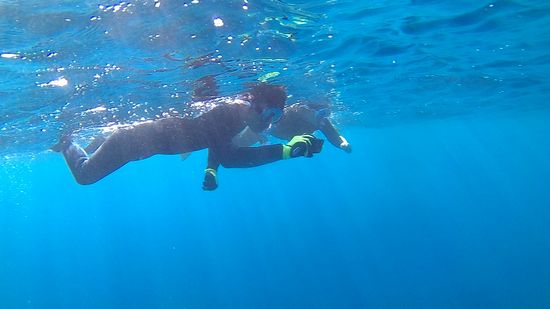 グルクンを眺めているM島さん