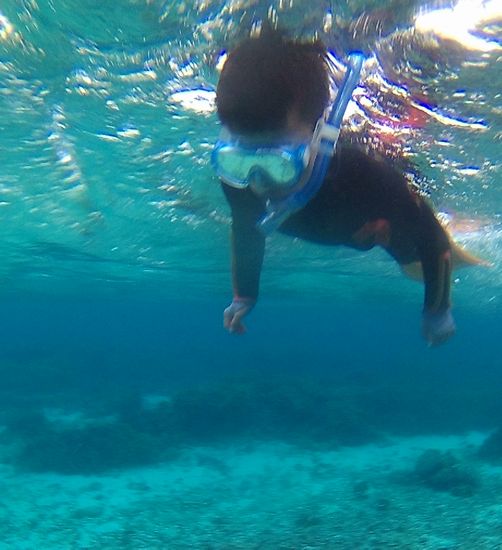 お兄ちゃん、慣れれば軽やかフィンキックです