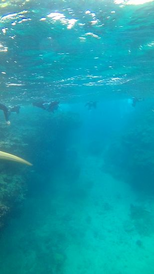 深場ポイントもがんがんせめていきます