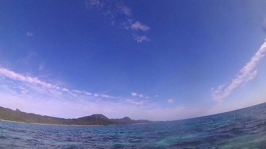 シュノーケリング日和です