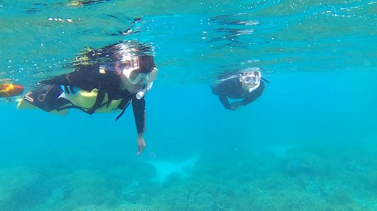 お父さん、お母さんもサンゴを楽しんでいます。