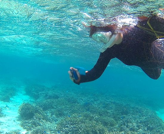 お魚さんに向けてシャッター！