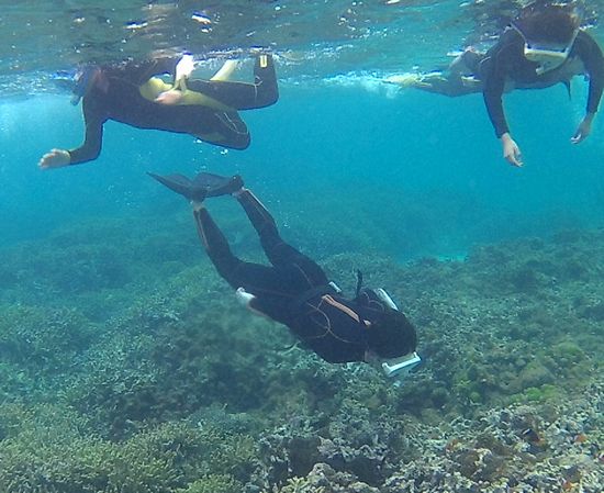 ガツンと潜ってクマノミマンションとこんにちは!