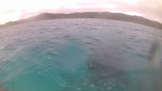曇小雨ぱらぱらの一日です