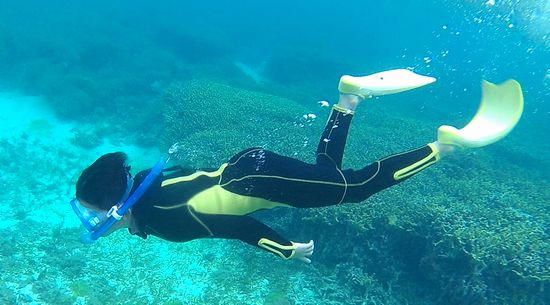 オト君もスイッチが入ると潜りまくっています