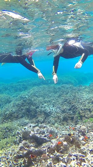 クマノミマンションにびっくりされています。