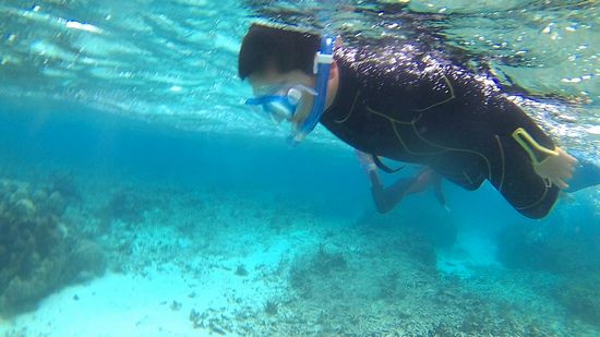 お兄ちゃん、こちらもよい動きに大変身