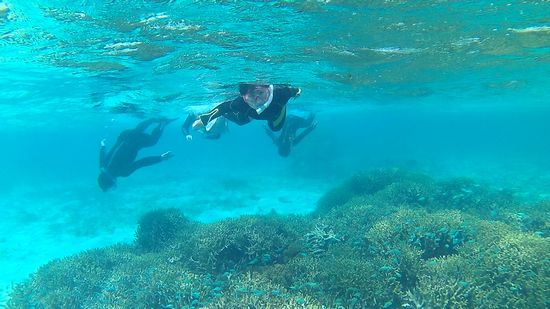 素潜りにトライしています