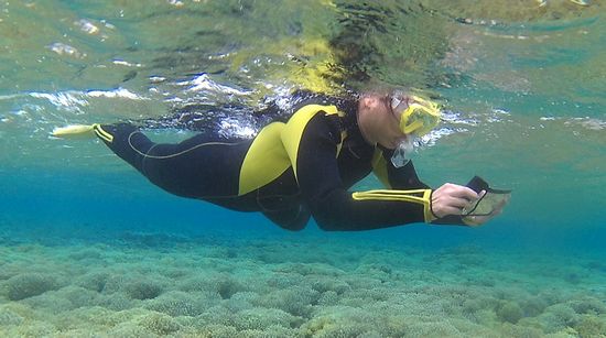 水中写真、楽しんでいます。