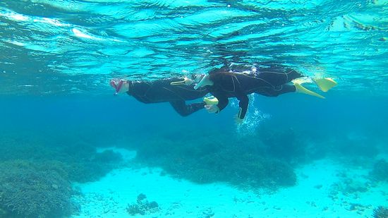 余裕の泳ぎですーいすいです。