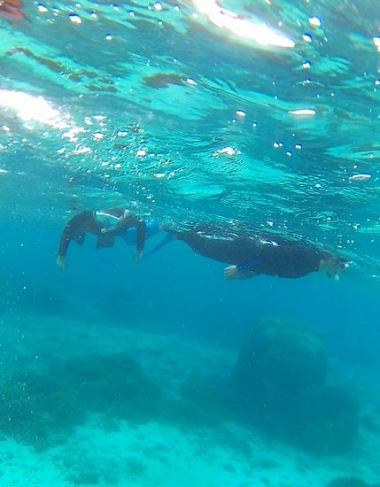 お父さんとお母さんは余裕の様子です