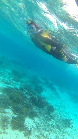 お母さんは余裕の泳ぎです