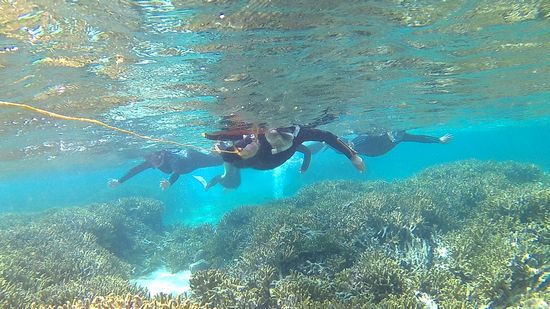 大人チームもすーいすいです。