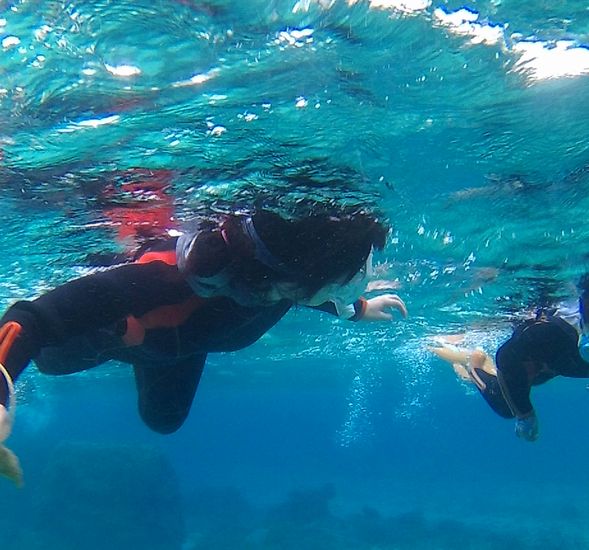 お母さんも最後は、水中を楽しんでいます。