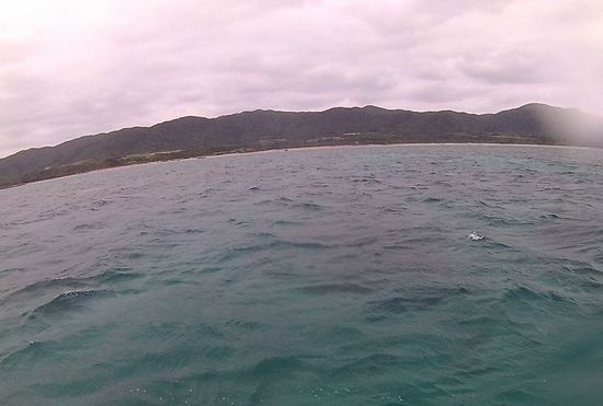 曇りの一日となりました。