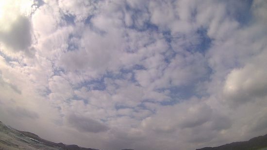 ほんのり青空が登場の一日です