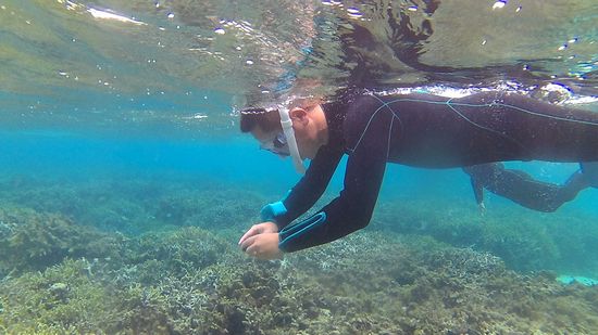 レンタルカメラを持つと動きがかわるお父さん