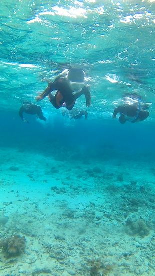 家族そろって、水中遊泳