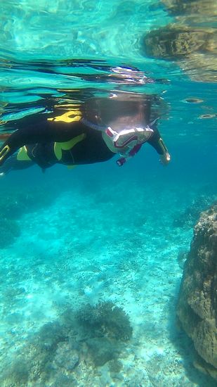 お母さん余裕の泳ぎに大変身