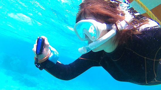 レンタルカメラに没頭です。