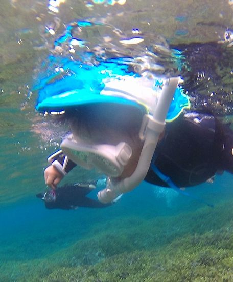 オウスケ君、顔を上げることはほとんどありません